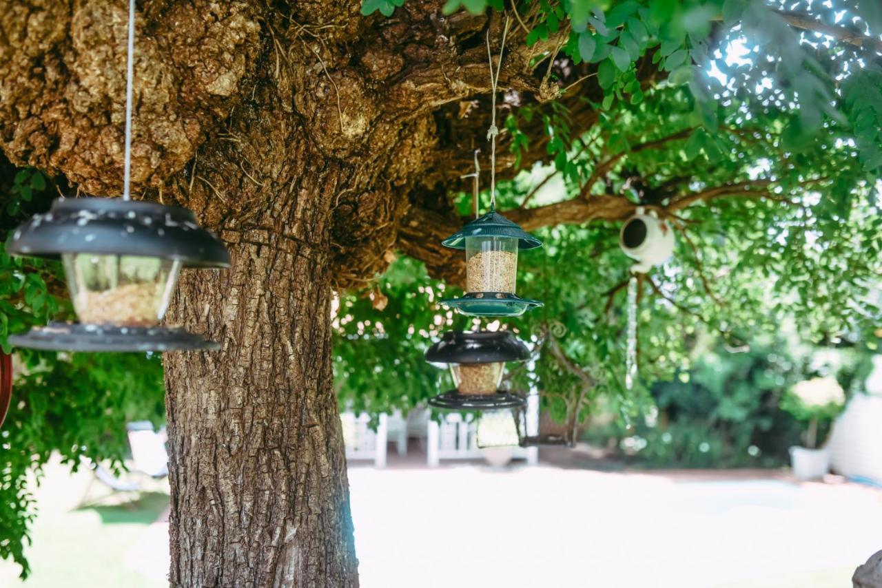 Timeless Bloemfonteinアパートメント エクステリア 写真